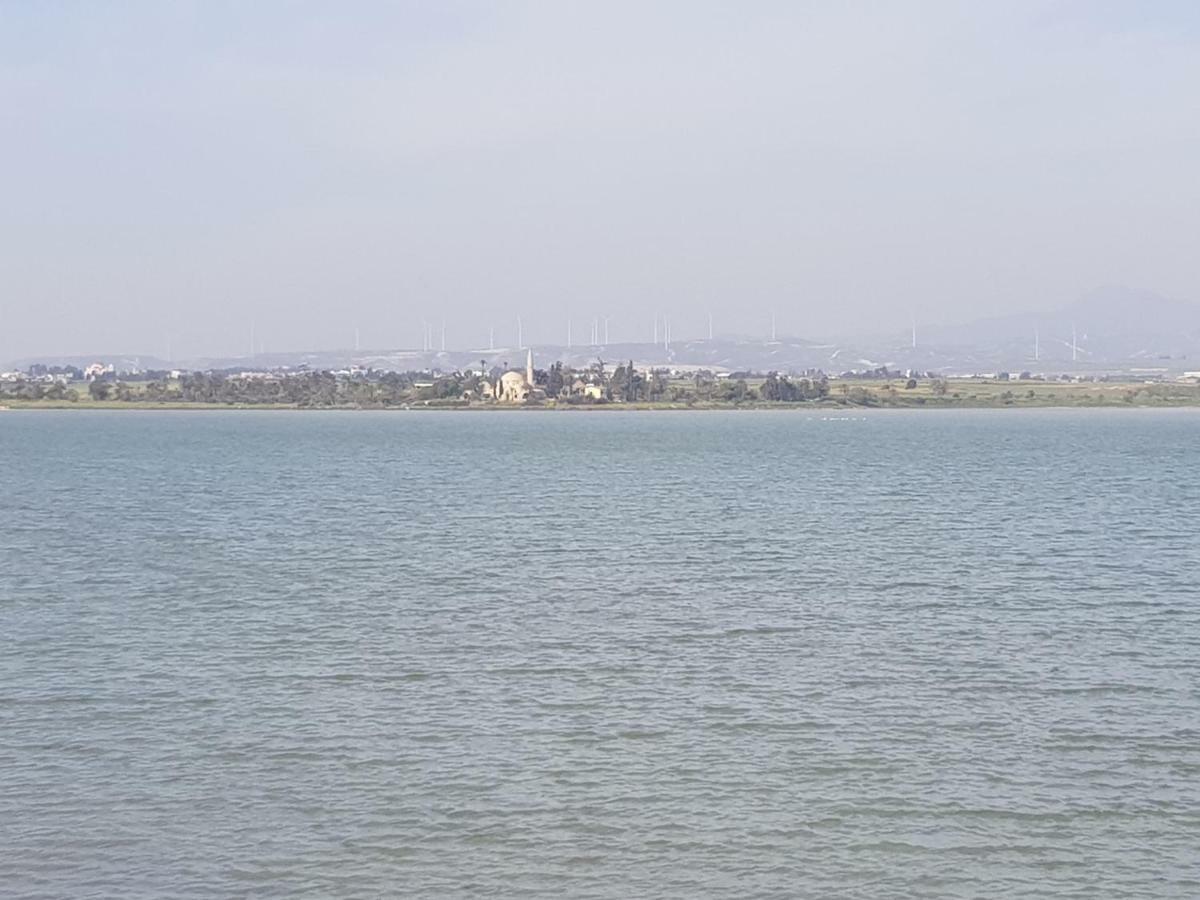 Haig'S Dream Flat On The Beach Λάρνακα Εξωτερικό φωτογραφία